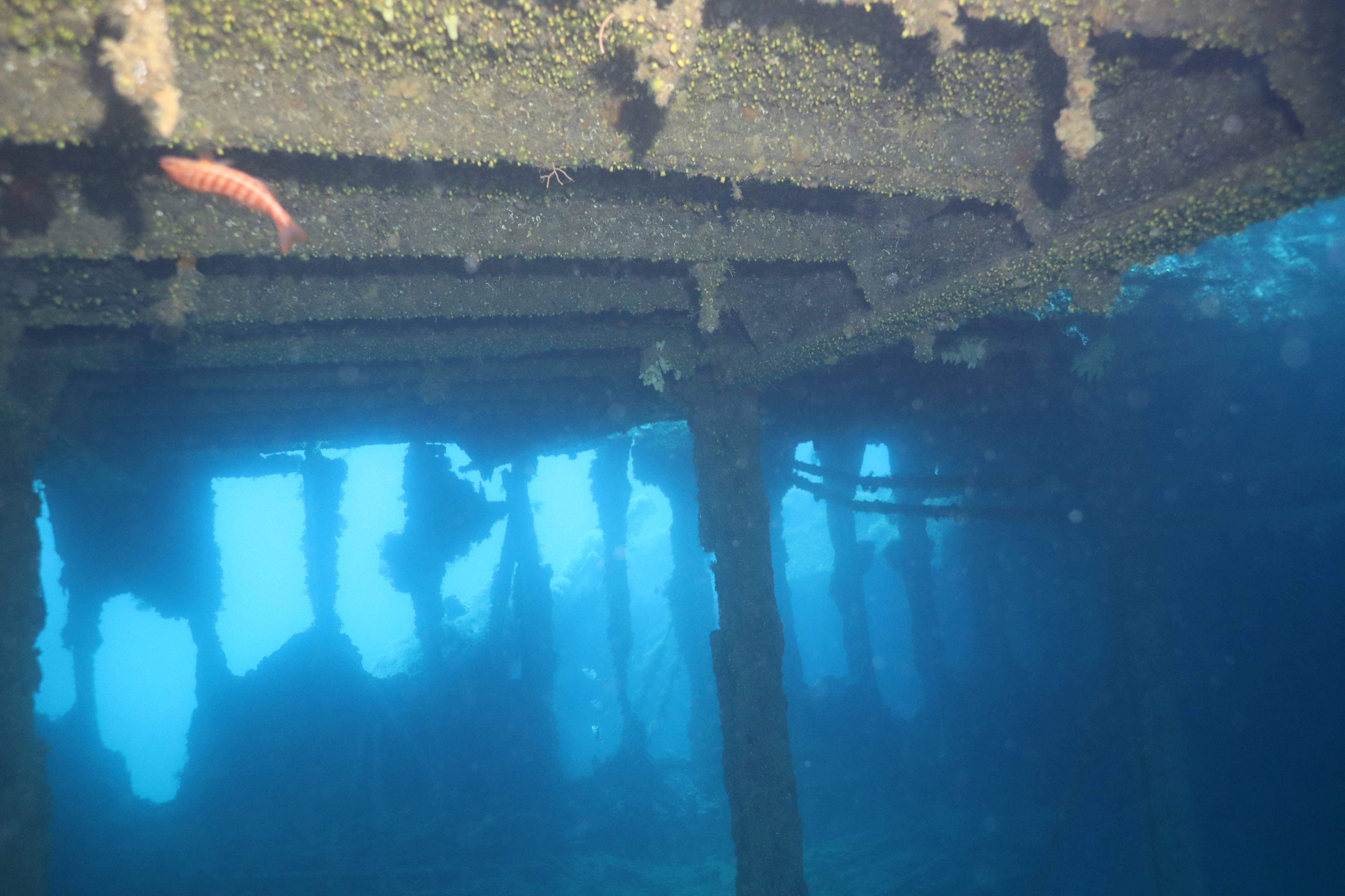 Diving degli Etruschi