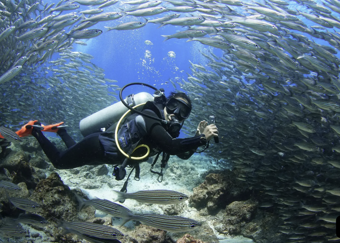 Scuba Iguana