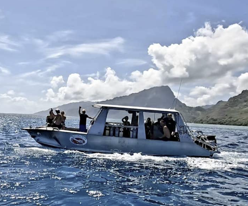 Moorea Blue Diving