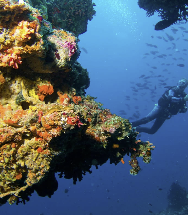 BAROS DIVING SCHOOL